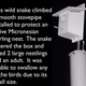 Screencap taken from the video abstract.